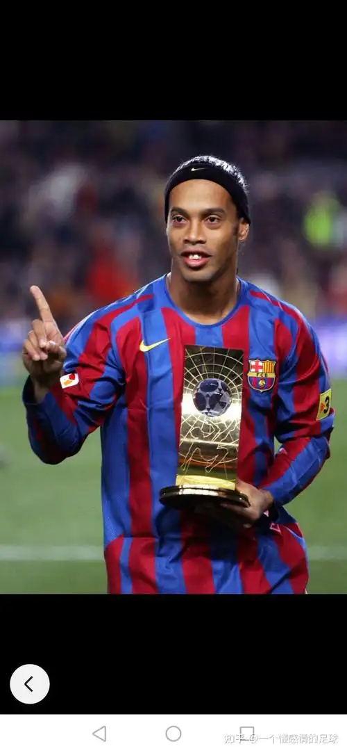 成功的案例 成功的案例